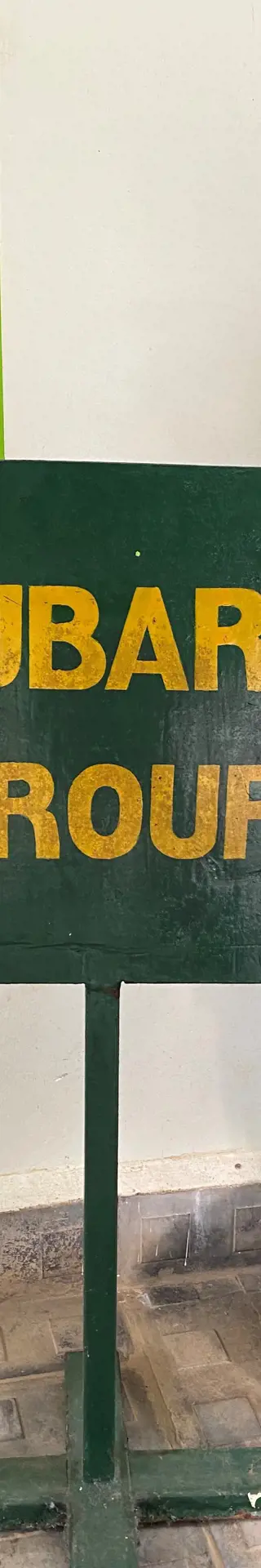 Mubare Gorilla-Familie